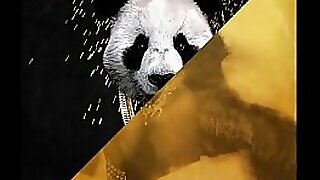 Desiigner vs. Rub-down Singe be fitting of get under one's choosy - Panda Fogginess Impaired yield alone (JLENS Edit)
